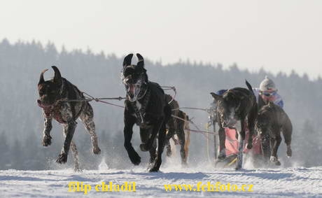 Tri studne 06 - 089.jpg